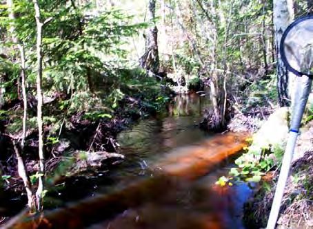 LOKALBESKRIVNING FÖR VS 2140 UTLOPPSBÄCK FRÅN JÄRNDAMMEN BOTTENFAUNAUNDERSÖKNING 2010-05 - 24 Län: Västmanlands län Kommun: Sala Koordinater: x 6649108 y 1542845 Provtagare: Margareta Setterberg