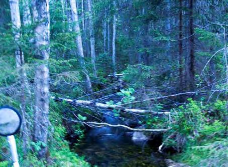 LOKALBESKRIVNING FÖR VS 518 SKÄLSJÖBÄCKEN BOTTENFAUNAUNDERSÖKNING 2010-05 - 26 Län: Västmanlands län Kommun: Skinnskatteberg Koordinater: x 6646133 y 1486068 Provtagare: Margareta Setterberg Metod: