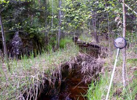LOKALBESKRIVNING FÖR VS 511 BJURSJÖBÄCKEN BOTTENFAUNAUNDERSÖKNING 2010-05 - 27 Län: Västmanlands län Kommun: Skinnskatteberg Koordinater: x 6634186 y 1488491 Provtagare: Margareta Setterberg Metod: