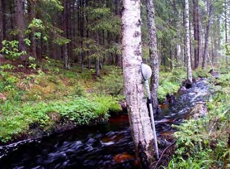 LOKALBESKRIVNING FÖR VS 515 STORA ENSJÖBÄCKEN BOTTENFAUNAUNDERSÖKNING 2010-05 - 25 Län: Västmanlands län Kommun: Skinnskatteberg Koordinater: x 6622554 y 1505315 Provtagare: Margareta Setterberg