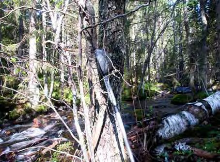 LOKALBESKRIVNING FÖR VS 2146 MÖRTBÄCKEN BOTTENFAUNAUNDERSÖKNING 2010-05 - 26 Län: Västmanlands län Kommun: Skinnskatteberg Koordinater: x 6644211 y 1493360 Provtagare: Margareta Setterberg Metod: