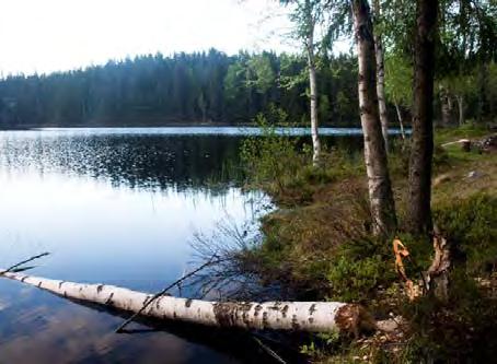 LOKALBESKRIVNING FÖR VS 2148 ÖRTJÄRNEN BOTTENFAUNAUNDERSÖKNING 2010-05 - 26 Län: Västmanlands län Kommun: Skinnskatteberg Koordinater: x 6646042 y 1489926 Provtagare: Margareta Setterberg Metod:
