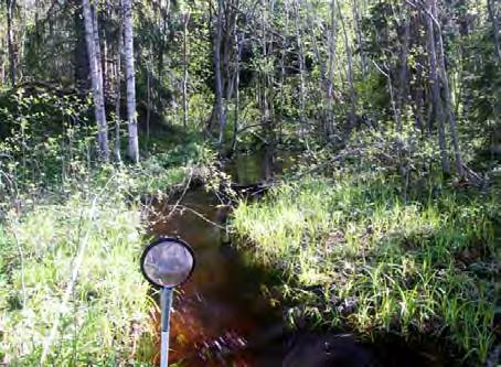 LOKALBESKRIVNING FÖR VS 2150 DAMMSJÖBÄCKEN BOTTENFAUNAUNDERSÖKNING 2010-05 - 26 Län: Västmanlands län Kommun: Norberg Koordinater: x 6663838 y 1510364 Provtagare: Margareta Setterberg Metod: