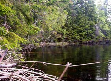 LOKALBESKRIVNING FÖR VS 2151 ÖRTJÄRNEN (EXTRA) BOTTENFAUNAUNDERSÖKNING 2010-05 - 26 Län: Västmanlands län Kommun: Skinnskatteberg Koordinater: x 6645825 y 1490172 Provtagare: Margareta Setterberg