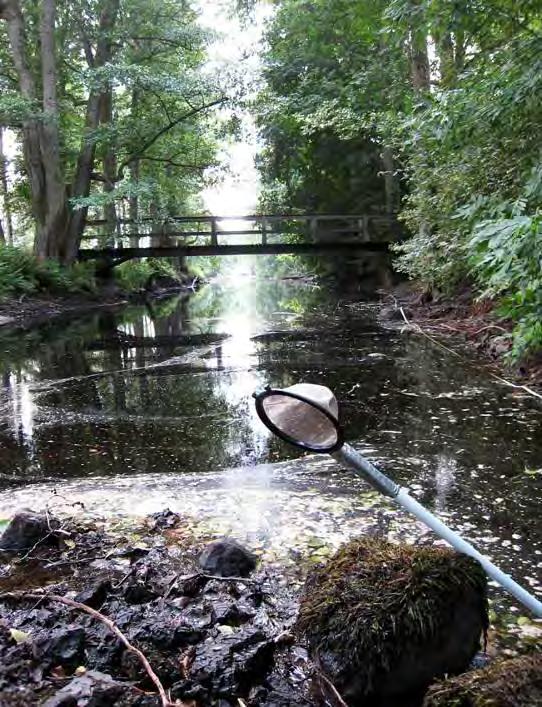 4.6 Gisslarboån nedströms Färna kraftstn.