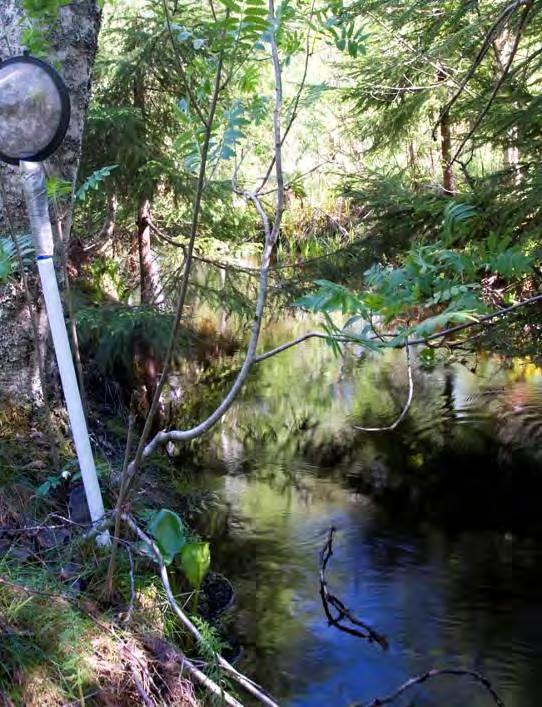 4.9 Storljusbäcken VS 2134 6654161/1537008 2010-05-24 Vattenförekomst Kalkning Nationellt värdefull Biotopkarterad Lokalbeskrivning Fin liten bäck med mycket död ved i vattnet.