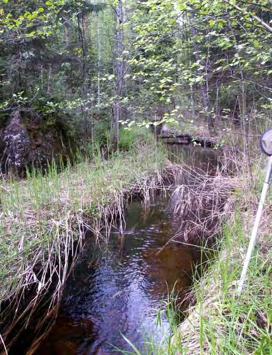 4.18 Bjursjöbäcken VS 511 6634186/1488491 2010-05-27 Vattenförekomst Kalkning Nationellt värdefull Biotopkarterad Lokalbeskrivning Fin liten bäck. Lokalen börjar vid vägen.