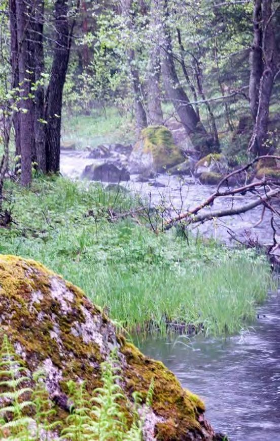 Tabell 50. Egen bedömning för Nälabäcken. Biotop Naturvärde Försurning Ekologisk status Mycket högt värde Mycket högt värde Måttligt surt Mycket högt värde Vad säger bottenfaunan om ekologisk status?