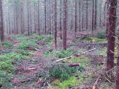 ARKEOLOGISK RAPPORT 2013:55 9 Objekt nr /Karta 113:2/ Id 1 Lämningstyp Beskrivning Antikvarisk bedömning Fossil åker, röjningsröseområde Röjningsröseområde ca 335 x220-280 meter stort (Ö-V) beståde