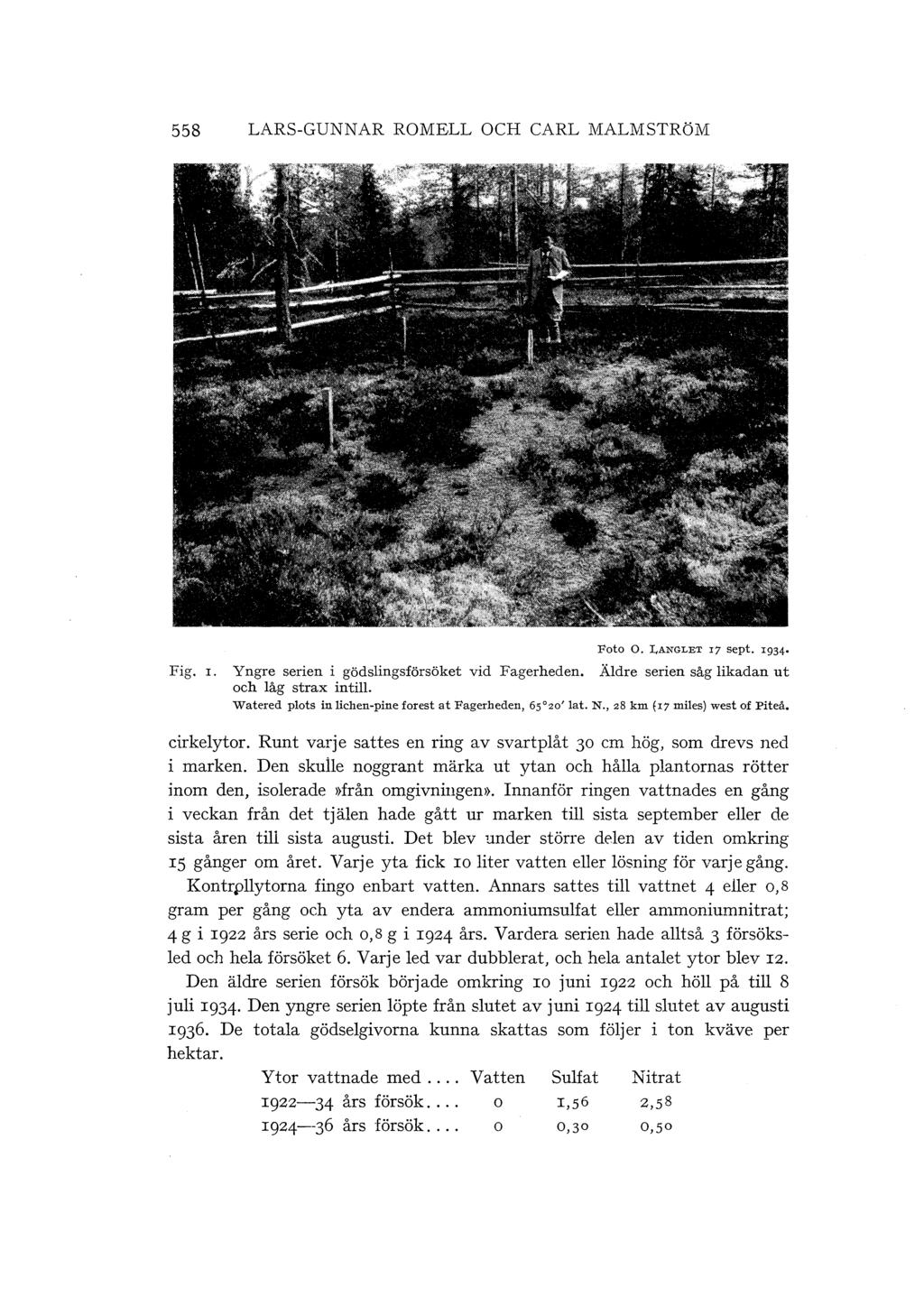 558 LARS-GUNNAR ROMELL OCH CARL MALMSTRöM Fig. r. Foto O.,ANGLET I7 sept. I934 Yngre serien i gödsingsförsöket vid Fagerheden. Ädre serien såg ikadan ut och åg strax inti.