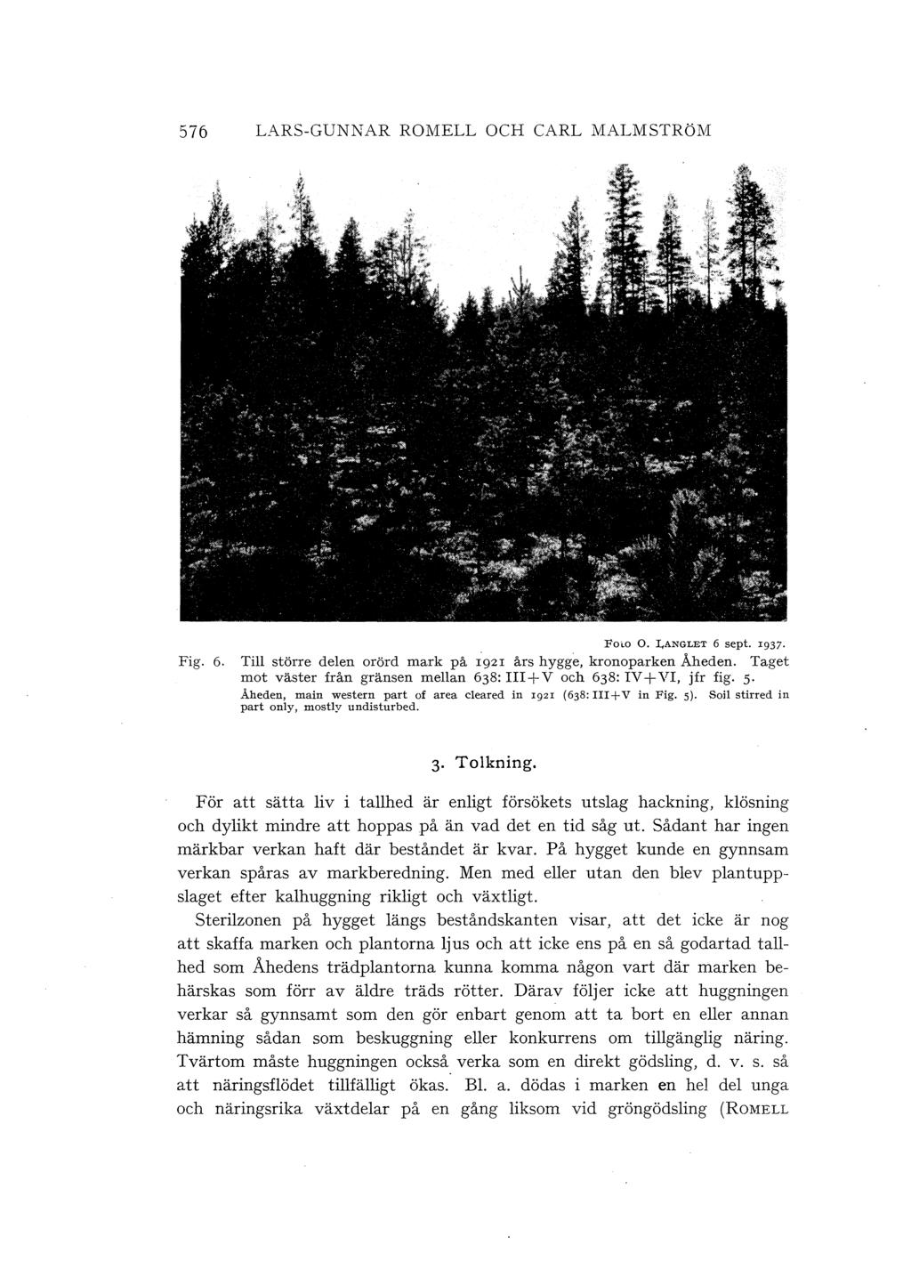 576 LARS-GUNNAR ROMELL OCH CARL MALMSTRöM Fig. 6. Foco O. LANGLET 6 sept. 1937. Ti större deen orörd mark på 1921 års hygge, kronoparken Åheden.