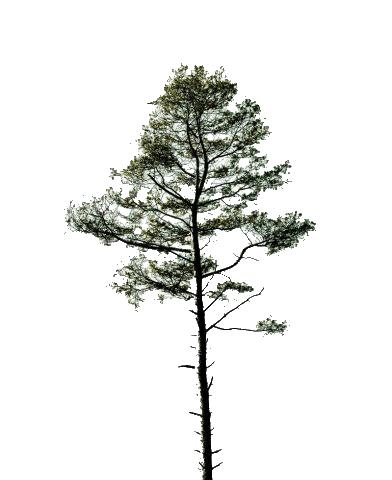 Placeringen på södra sidan blir naturlig då den största målpunkten som genererar mycket flöden sommartid är badplatsen söder om Dalarövägen.