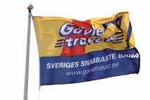 med segertäcke och hederspris Sto 6 år e. Credit Winner Spirituell e. Sugarcane Hanover.