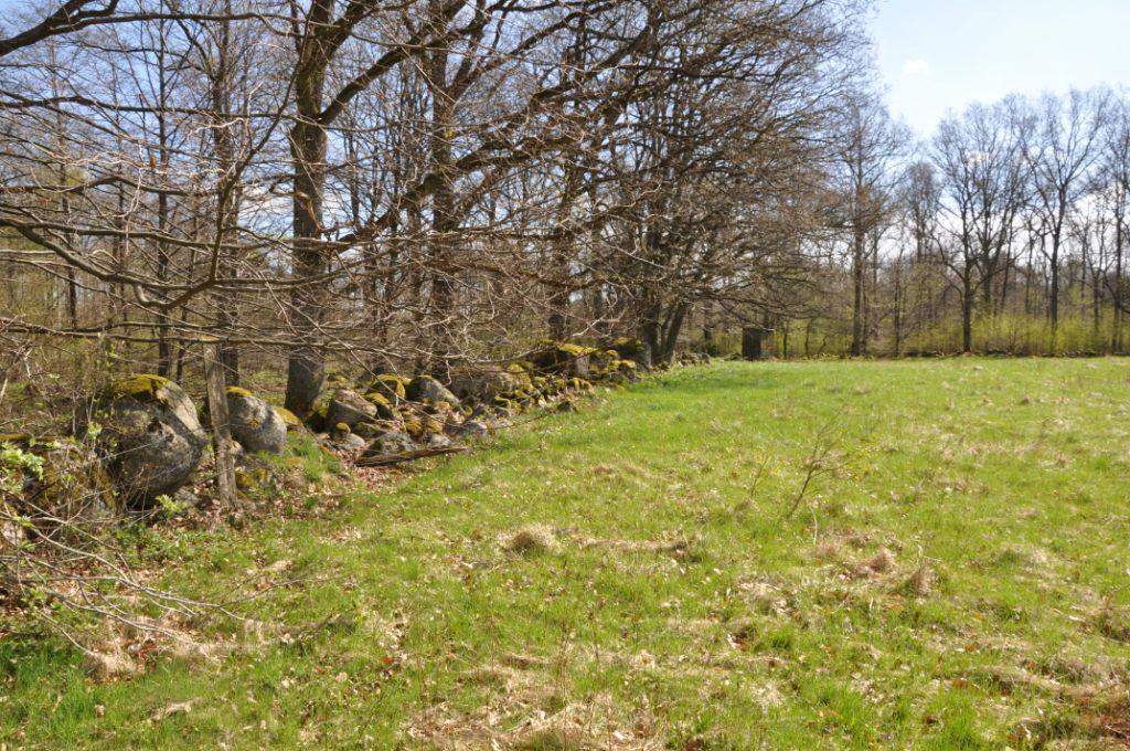 Eftersatt underhåll med bl a behov av dikesrensning, plantering och röjning.