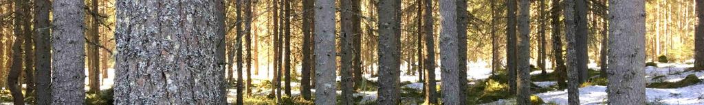 com/ Dessutom finns möjlighet till småviltjakt på Orsa