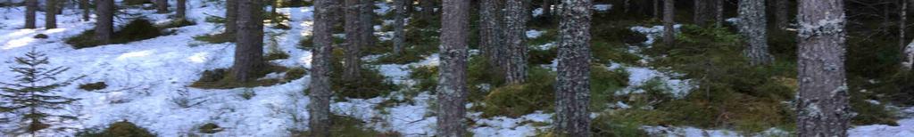 ett uppskattat virkesförråd om 3 200 m3sk varav ca 2 500