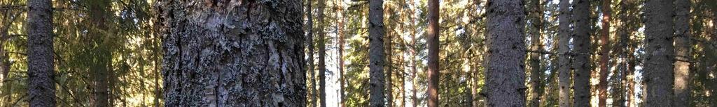 m3sk/ha och år. Avdelning 10.
