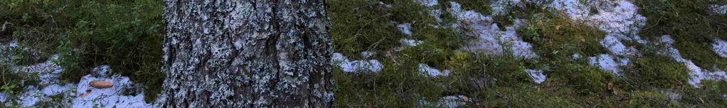 Jakt & Fiske Fastigheten har en jakträtt i Hansjö