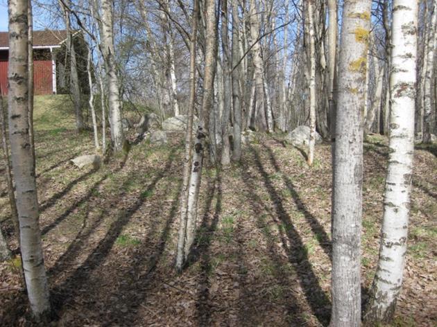 Töjningen i terrassytan av enstaka laster blir då för stor vilket leder till deformationer och sprickor. Foto 3. Väg 850 vid planområdet i riktning norrut mot Svärdsjö kyrka.