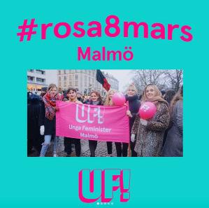 Den 8:e mars var vi som vanligt ute och demonstrerade för kvinnor och transpersoners rättigheter i Sverige och över hela världen. runtom i landet. Vi höll tal, var på aktioner, och demonstrationer.