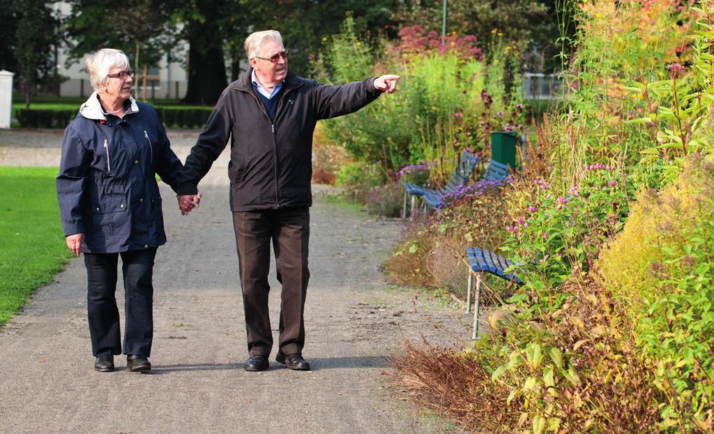 Uppgift om inkomster som utbetalas av Pensionsmyndigheten/Försäkringskassan hämtas in i förväg och finns förtryckta på blanketten.