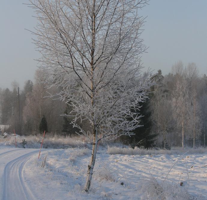 K ALEN D ER är l a fö r sa m lingsb l ade t januar i - feb r uar i 2013 3 Ärla Vecka 2