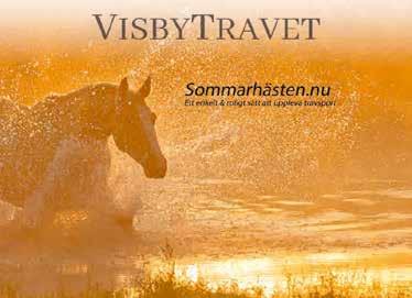BLI MEDLEM I GOTLANDS TRAVSÄLLSKAP! Från och med 0 är Gotlands Travsällskap en öppen förening där alla travintresserade är välkomna att bli medlemmar.