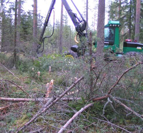 skogstraktor. Risutec finns att fås i olika storlekar.