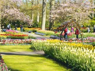 Sön 01 Alla hade redan före nio lämnat övernattningsplatsen, eftersom vi bestämt att tillsammans besöka tulpanparken Keukenhof med start vid ingången kl 10.