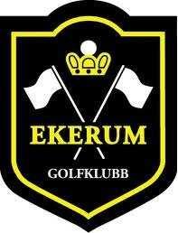 HANDLINGSPROGRAM 2018 1. Utgångsläge Ekerums Golfklubb är en fristående ideell organisation vars verksamhet bygger på en särskild överenskommelse med Ekerum Resort.
