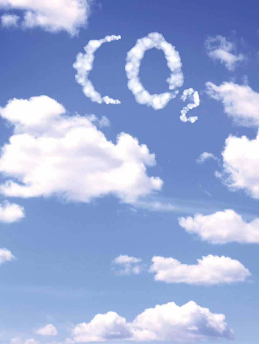 Papperskassar binder CO 2 Papper tillverkas av trä; ett naturligt och förnybart material. När de yngre träden växer tar de upp koldioxid (CO 2 ) från atmosfären.