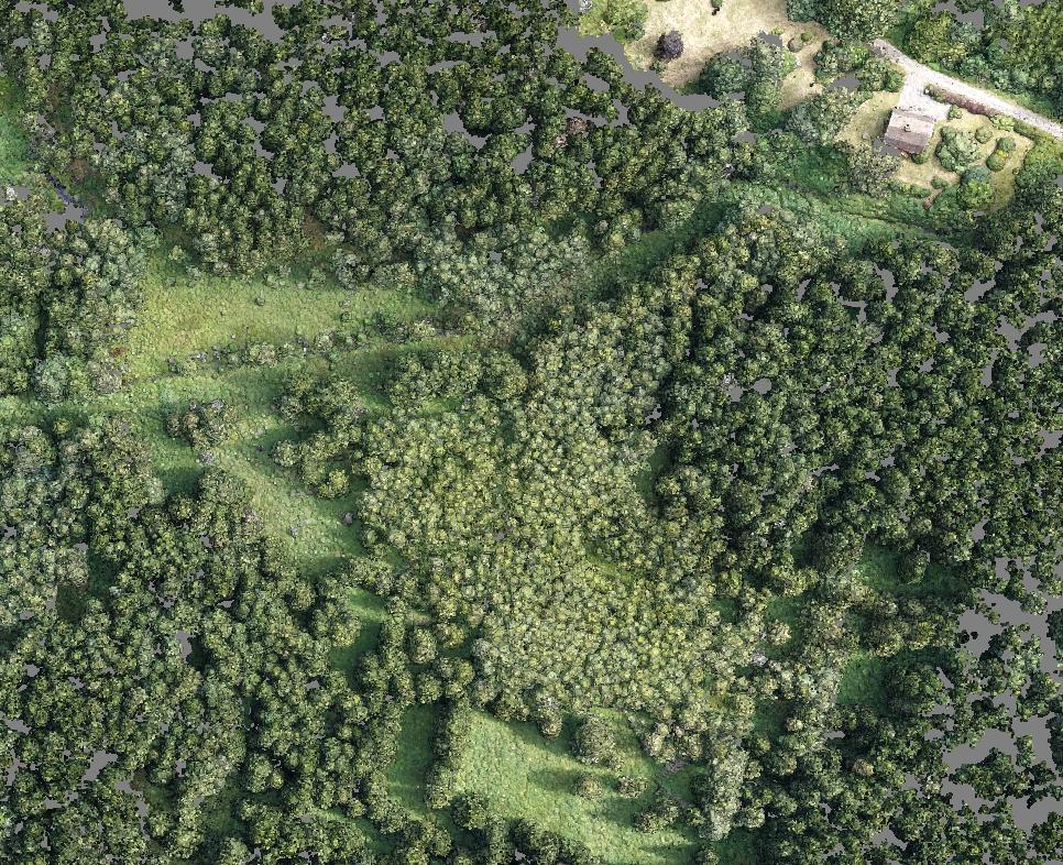 Figur 3. Ett punktmoln skapat med Agisoft Photoscan. Figure 3. Point cloud build in Agisoft Photoscan. 2.