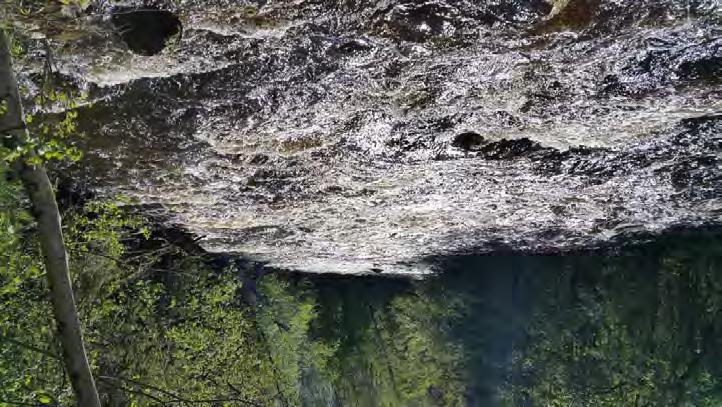 Forsen är 1200 meter, jämt forsande utan trösklar och lugnvattenpartier. Långforsen har aldrig varit utbyggd för utnyttjande av vattenkraft.