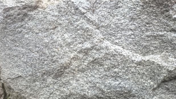 Bergschakten är