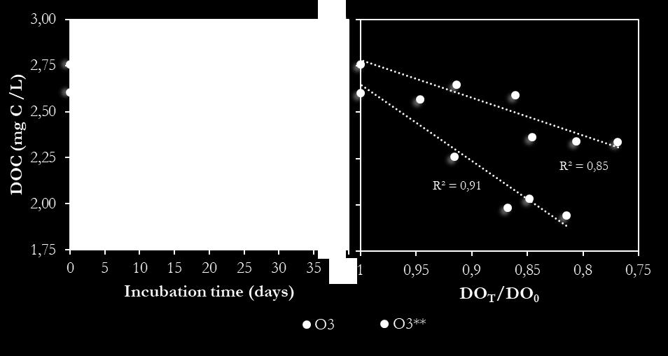 BDOC/L Majoriteten av BDOC (65 %) bildas inom 5-10 min reaktion med ozon Mindre syre/doc