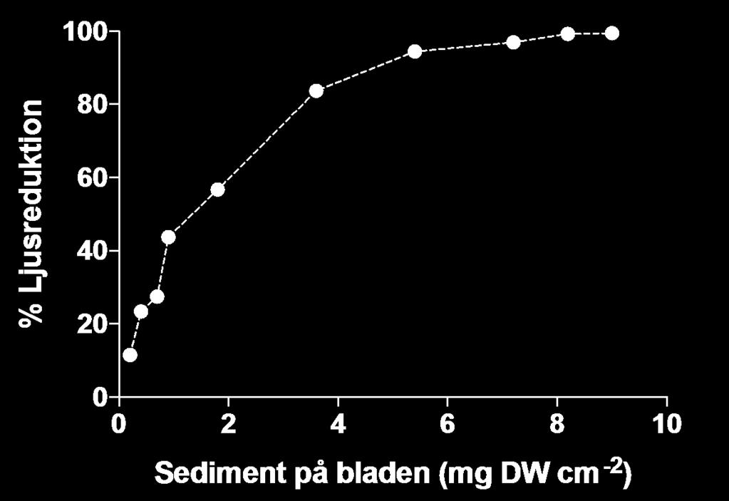 SEDIMENTATION PÅ BLAD Sedimentation i