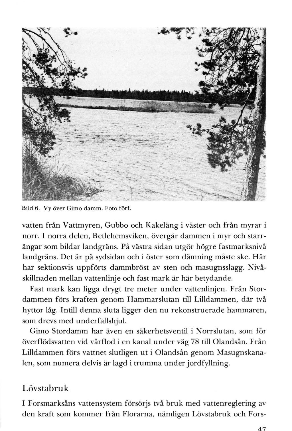 Bild 6. Vy över Gimo damm. Foto förf. vatten från Vattmyren, Gubbo och Kakeläng i väster och från myrar i norr. I norra delen, Betlehemsviken, övergår dammen i myr och starrängar som bildar landgräns.