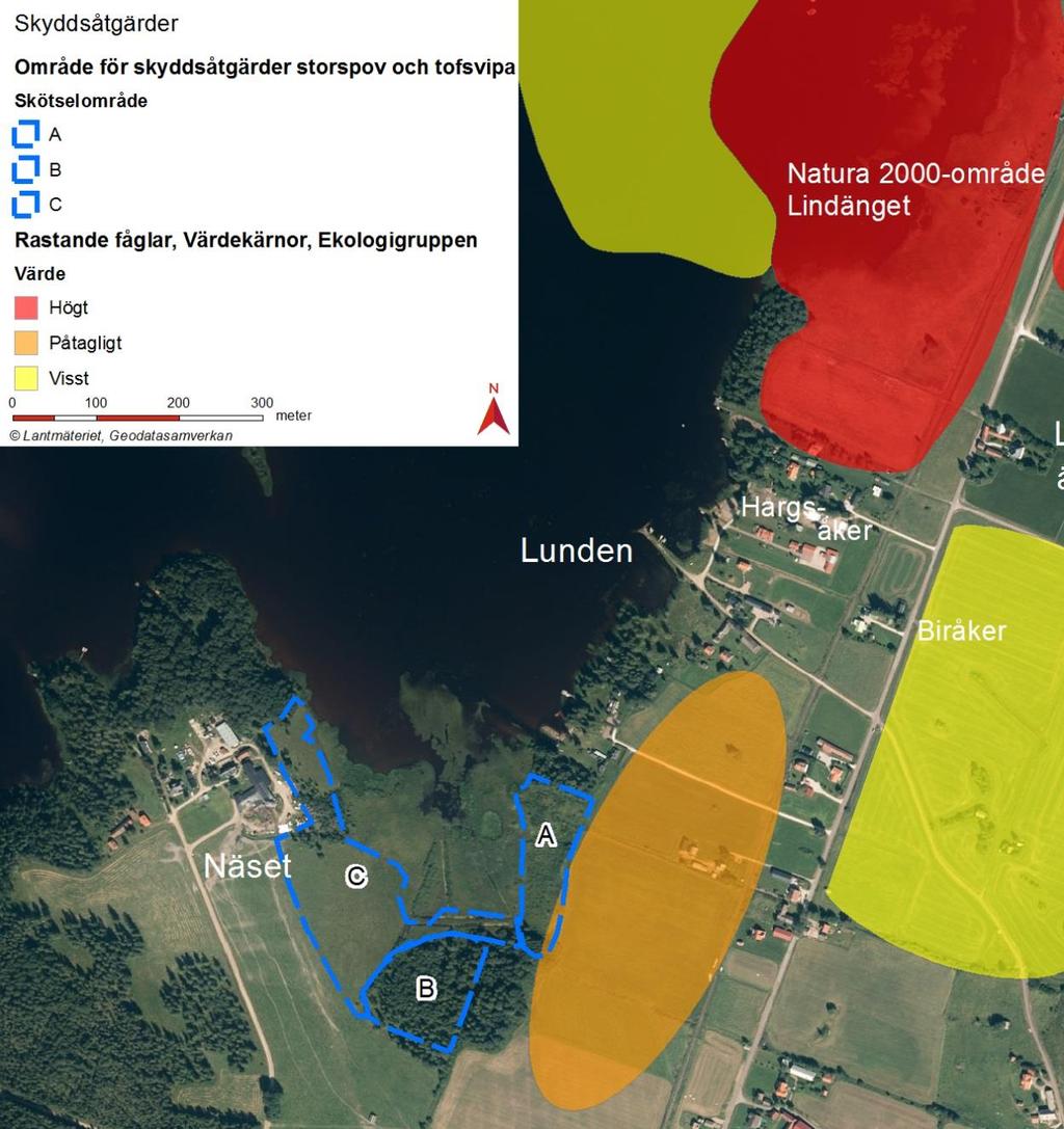 Figur 4.4.2 Områden där åtgärder för storspov och tofsvipa planeras samt värdekärnor för rastande fågel från Ekologigruppens inventering.