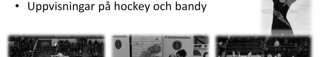Gemenskap föräldrar, tränare