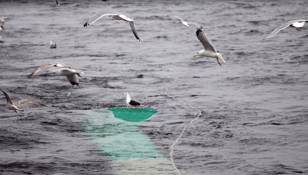 Aqua reports 216:2 Expeditionsrapport BITS november