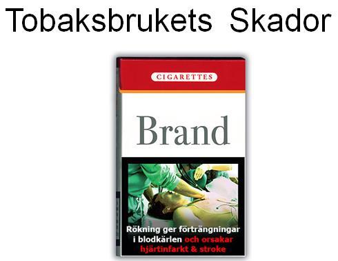 Utdrag ur