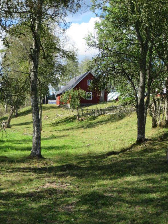 Salbodaåsens rygg genom