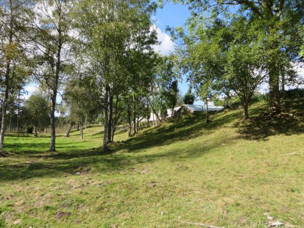hagmarkerna som omger