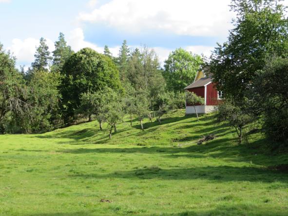 I nordsluttningen finns