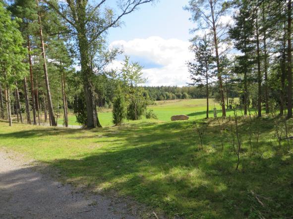 senare tid och som gjordes odlingsbara tack