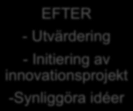 Process idéjam FÖRE Marknadsföringsinitiativ - Bjuda in medarbetare - Stimuli IDÈJAM (48h) - Idéer och kommentarer - Fokus på idéer