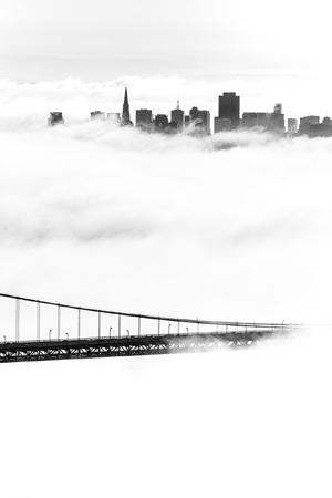 ANTAGEN: San Francisco i dimma