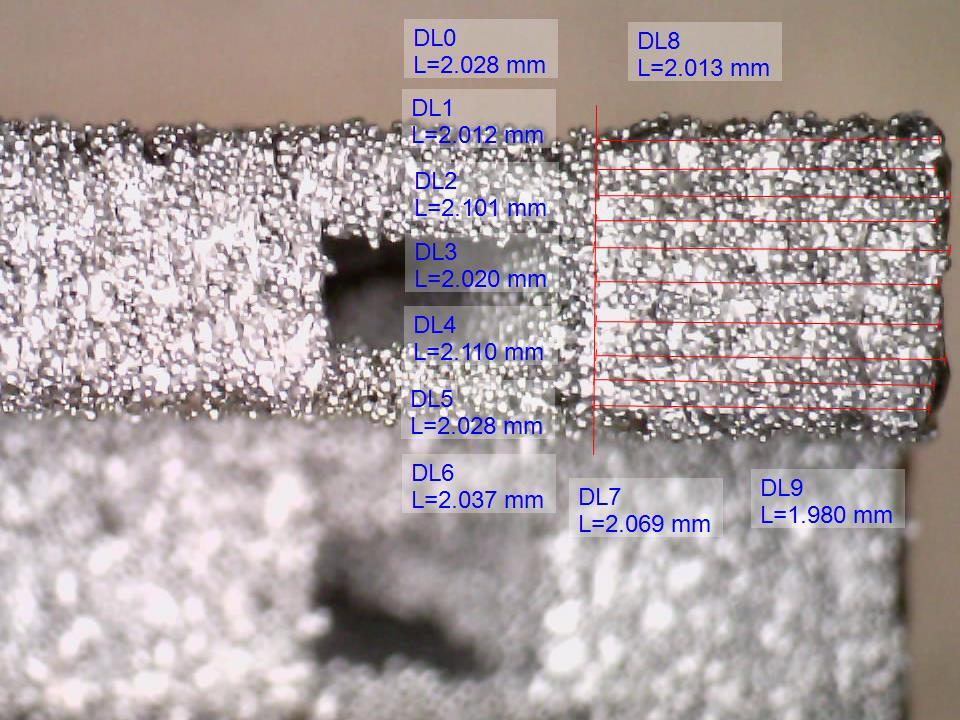 Dino-Lite edge Digital Microscope.
