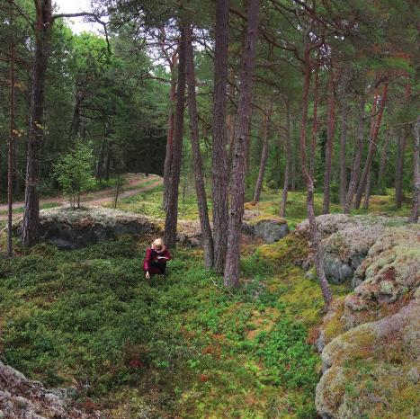 UPPLANDSSTIFTELSEN UPPLANDSSTIFTELSEN är en ideell förening med Region Uppsala och kommunerna i Uppsala län som medlemmar.
