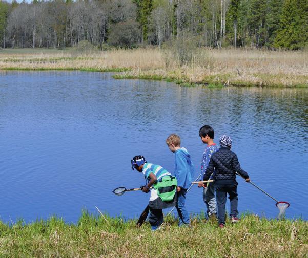 Naturvård Upplandsstiftelsen fortsätter prioritera åtgärder för att förstärka den biologiska mångfalden i Uppsala län.